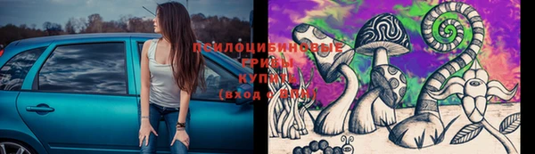 герыч Алексин