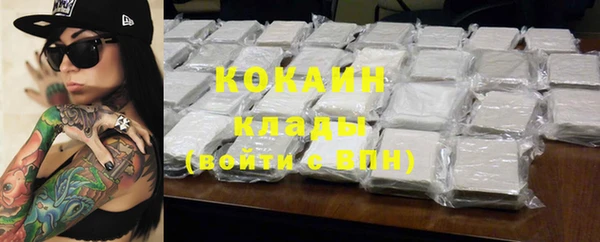 соль ск Алзамай
