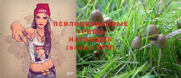 герыч Алексин