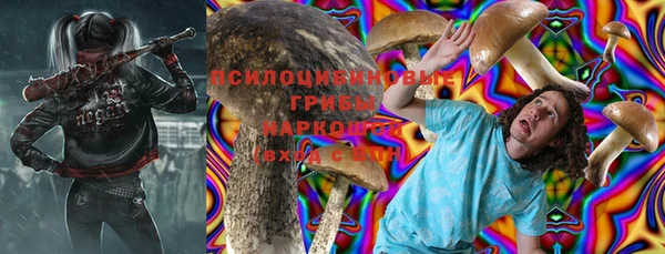 соль ск Алзамай