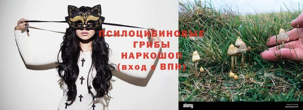 соль ск Алзамай